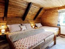 Roubenky Pod Strání - Orlické Záhoří