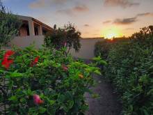 Vila Oliva - 