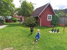 Chalupy u Davida - Horní Bečva