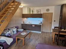 Apartmán Sophia 6 - Velké Losiny