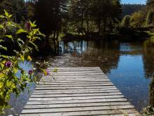 Penzion U rybníka - Nové Losiny