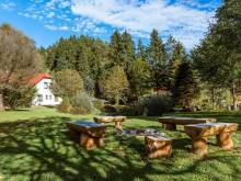 Penzion U rybníka - Nové Losiny