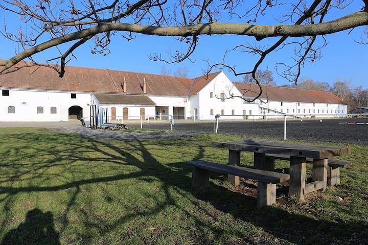 Penzion U koní - Mikulov