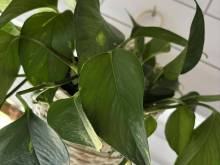 Dům Na Vršku - Běhařov