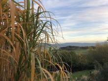 Dům Na Vršku - Běhařov