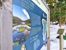 Apartmán v Bavorské Rudě - Bayerisch Eisenstein