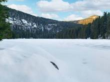 Apartmán v Bavorské Rudě - Bayerisch Eisenstein