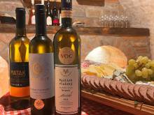 Penzion Trojna Lednice - Lednice