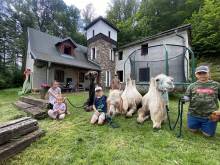 Chalupa u velbloudů - Svoboda nad Úpou