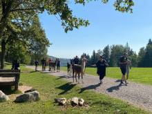 Chalupa u velbloudů - Svoboda nad Úpou