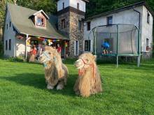 Chalupa u velbloudů - Svoboda nad Úpou