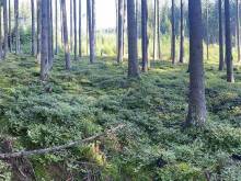 Apartmány Kadov - Kadov