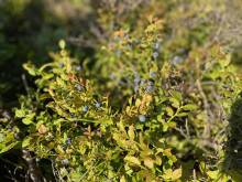 Apartmány Kadov - Kadov