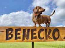 Psí bouda - Benecko