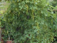 Penzion Na Návrší - Znojmo