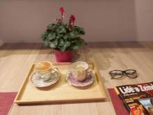  Apartmán Vratička - Říčky v Orlických horách