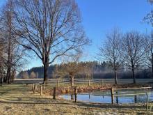 Penzion Bavlnka - Dvory nad Lužnicí