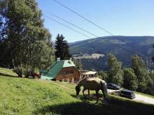 Penzion Alenka - Špindlerův Mlýn