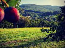 Apartmán u Maršálků - Květná