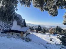 Chata Bohemika - Čenkovice