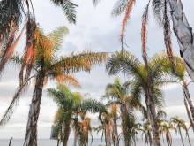 Residencial Mediterraneo - 