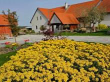 Pension Pod Hvězdami - Božejov