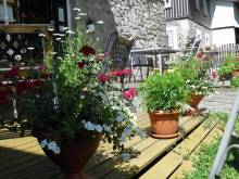 Pension Lípa - Horní Maršov