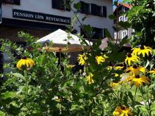 Pension Lípa - Horní Maršov