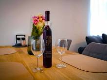 Apartmán Úpa - Svoboda nad Úpou