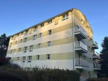 Mechový apartmán - Krásná Lípa