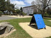 Mechový apartmán - Krásná Lípa
