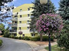 Mechový apartmán - Krásná Lípa