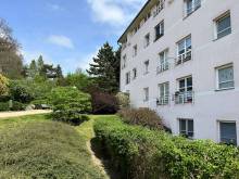 Mechový apartmán - Krásná Lípa