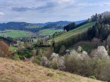 Penzion Na Salaši - Hutisko-Solanec