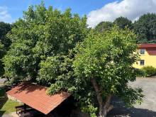 Pension Jana - Hrubá Skála