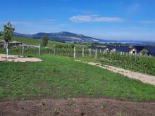 Apartmán u Bouře - Zaječí