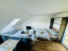 Apartmán Moulis - Abertamy