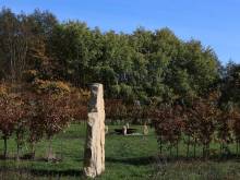 Centrum Červeněves - Červeněves