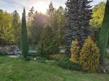 Apartmán za lesem - Červený Kostelec