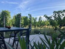 Apartmán Hrozínek - Dobré Pole