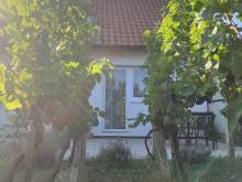 Apartmán Hrozínek - Dobré Pole