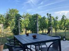 Apartmán Hrozínek - Dobré Pole