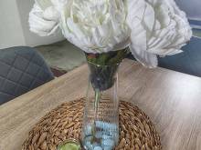 Ubytování Jana - Chlum u Třeboně