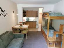 Apartmán Rodinný Špic - Špičák