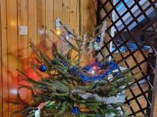 Apartmán na mlýně - Janoušov