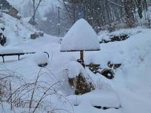 Apartmán na mlýně - Janoušov