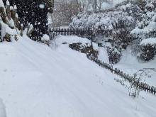 Apartmán na mlýně - Janoušov