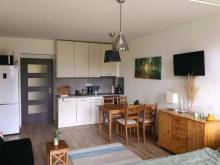 Lesní apartmán - Hamry