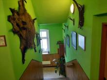 Apartmán U Bartoloměje - Rychnov