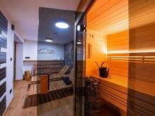 Roubenka s wellness - Horní Maršov